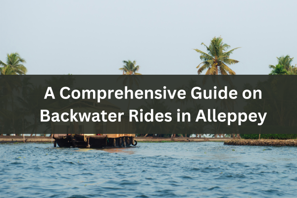 Alleppey Backwater Ride (Alappuzha), Kerala: Top 10 Activities to Do in Nature Beauty