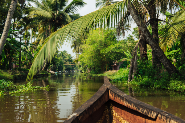 Alleppey backwater ride You Can't Miss!