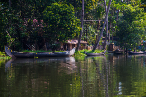 Alleppey backwater ride You Can't Miss!