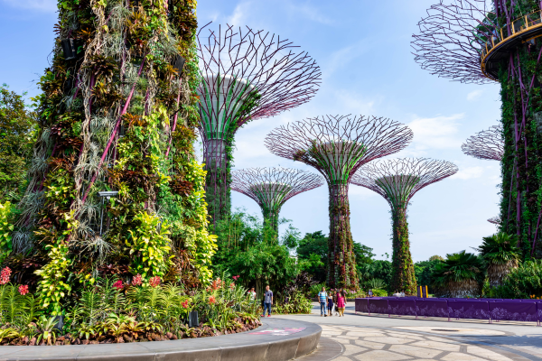 Is Singapore a Good Place to Visit