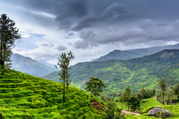 Northern India During Monsoon
