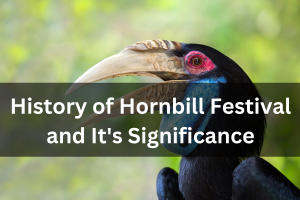 History of Hornbill Festival and It's Significance