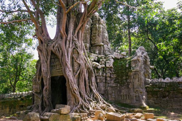 Restoring Angkor Wat Temple - Preserving Heritage