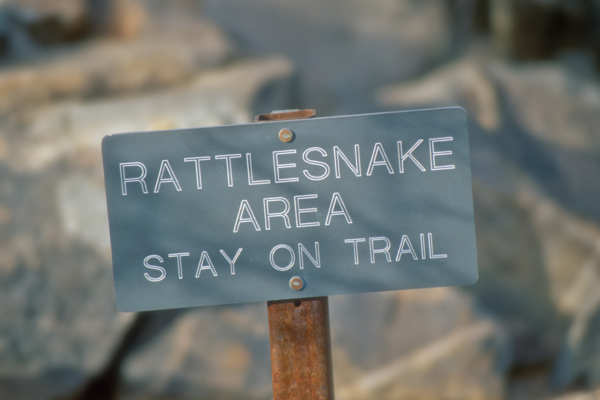 Rattlesnake Island (Okanagan Lake or Lake Erie)