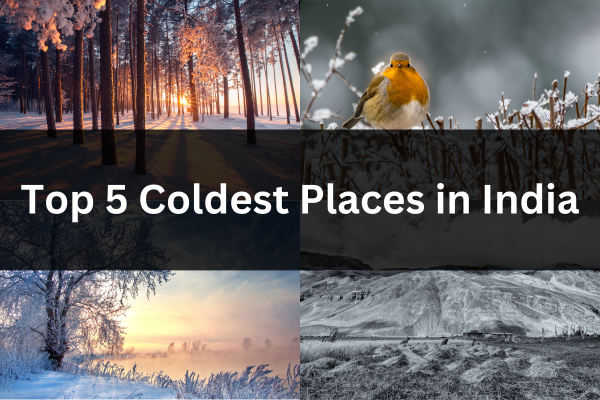 Coldest Places in India: Explore the Cold Wonders of Winter