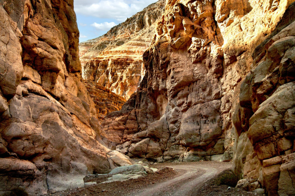 Explore Death Valley National Park Tours - A Complete Guide