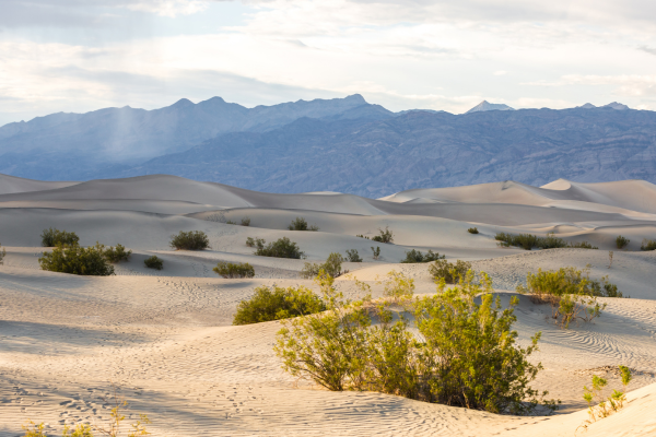 Explore Death Valley National Park Tours - A Complete Guide