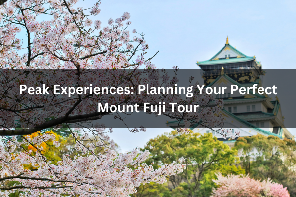 Peak Experiences: Planning Your Perfect Mount Fuji Tour