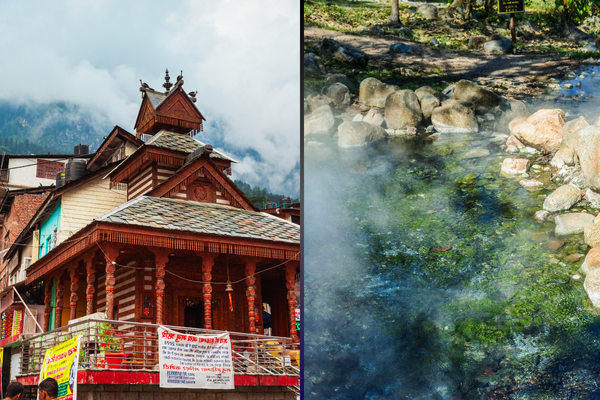 Abhishek Manali Nature Park 1 1