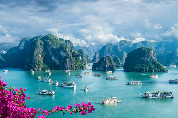 Vietnam Tour Packages: Culture, Nature, and Adventure