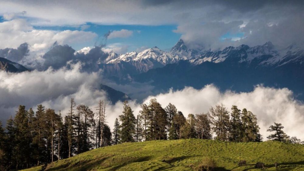 Uttarakhand Tour Packages