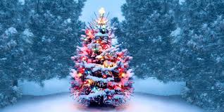 What Is Open on Christmas Day