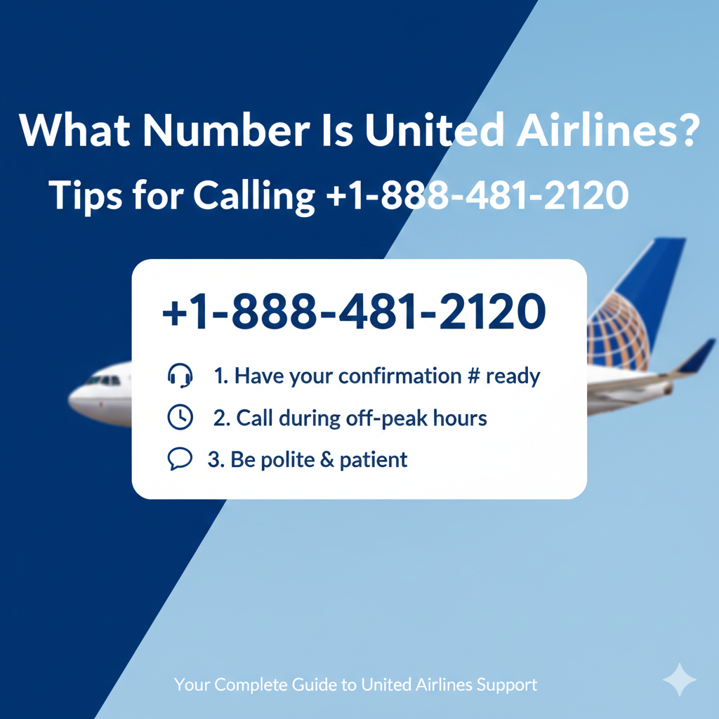 What number is United Airlines