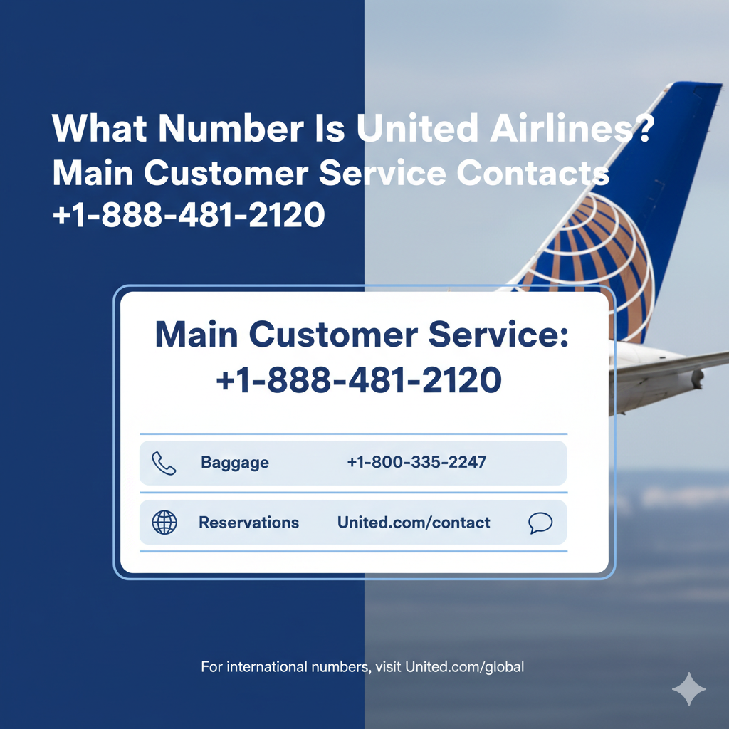 What number is United Airlines